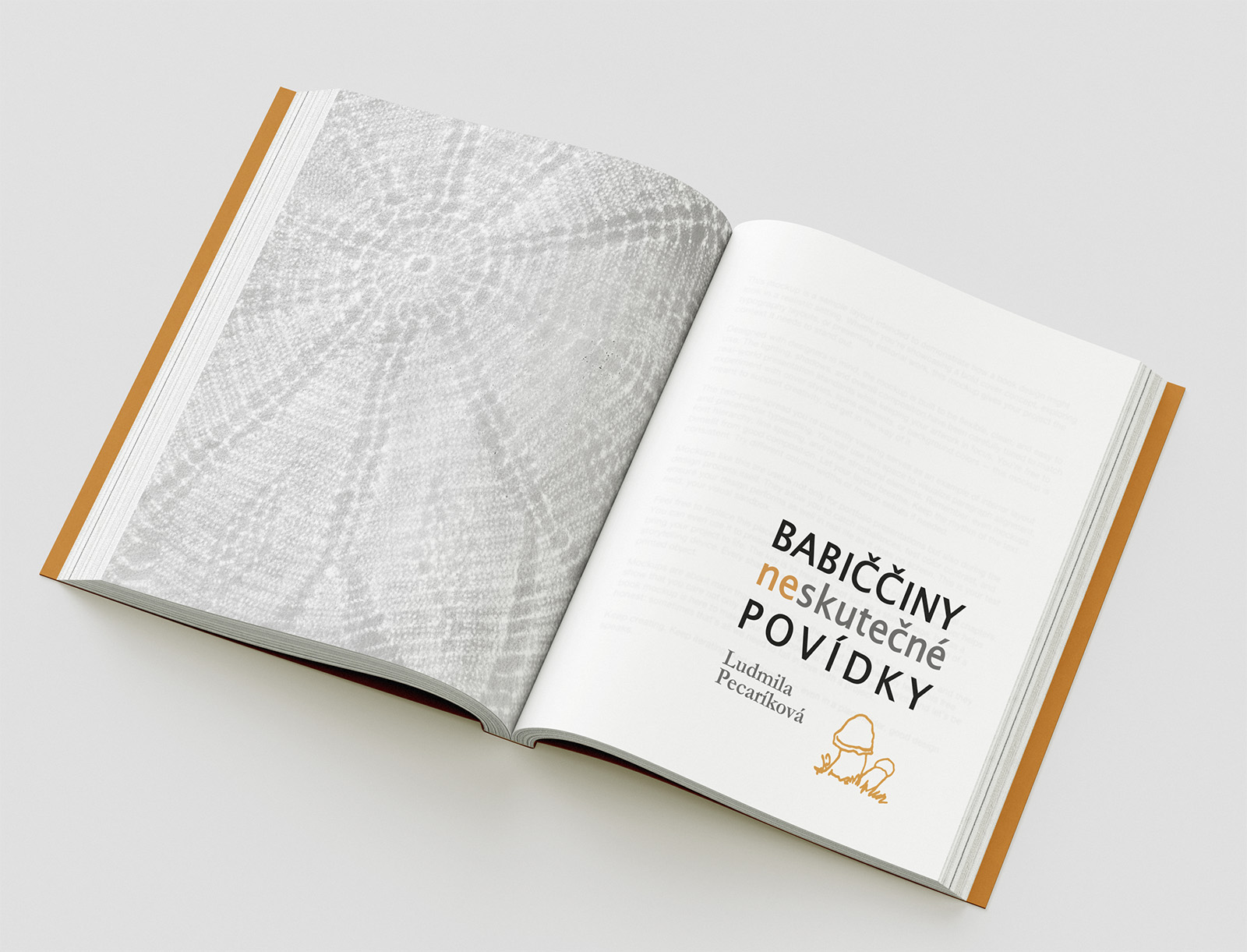 Detail projektu Knižní design BABIČČINY NESKUTEČNÉ POVÍDKY